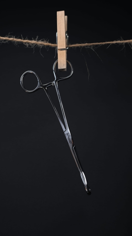 597f8013-9edc-4235-bb65-ca8e86b4769a.jpg