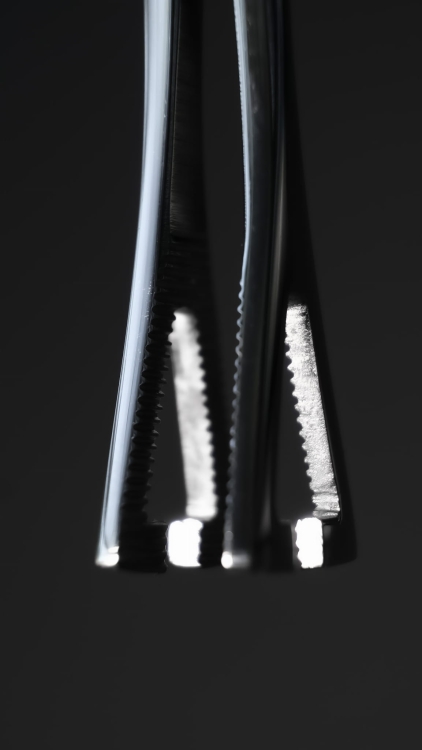 2b9a2eca-40c5-461b-a996-3d44f71bfd7f.jpg
