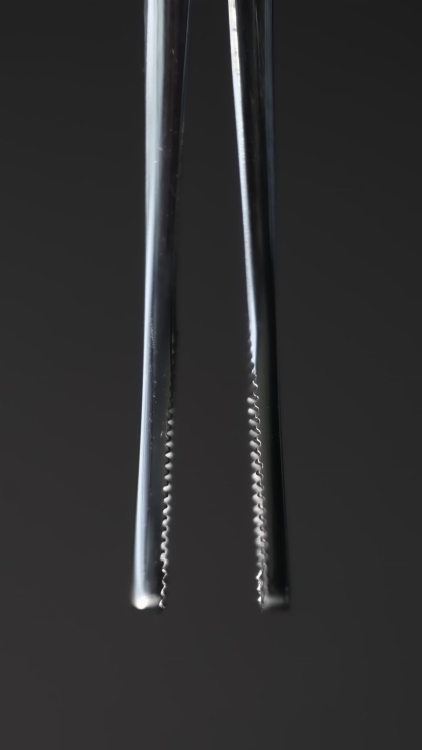 204f6d72-3dbb-46fb-b66d-76040d9edbe9.jpg