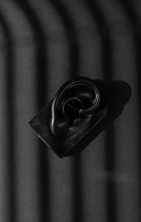 b9eb0529-a53c-45e7-b766-f924c1b320ed.jpg
