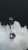 C6EB5AF8-BF51-4A49-A940-E999E8F44BA9.jpeg