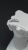 53DD0641-4A26-416D-B190-C07344808598.jpeg