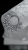 cd8960ab-78c3-4998-a130-d919fb496271.jpg