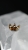 e0ab3185-9025-4aa9-9604-29739c58dc44.jpg