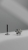 A60B4C9B-CC9F-4F3A-9719-5576095D9CAC.jpeg