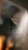 DSCF0366.JPG