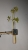 DSCF0344.JPG